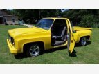 Thumbnail Photo 2 for 1978 Chevrolet Other Chevrolet Models